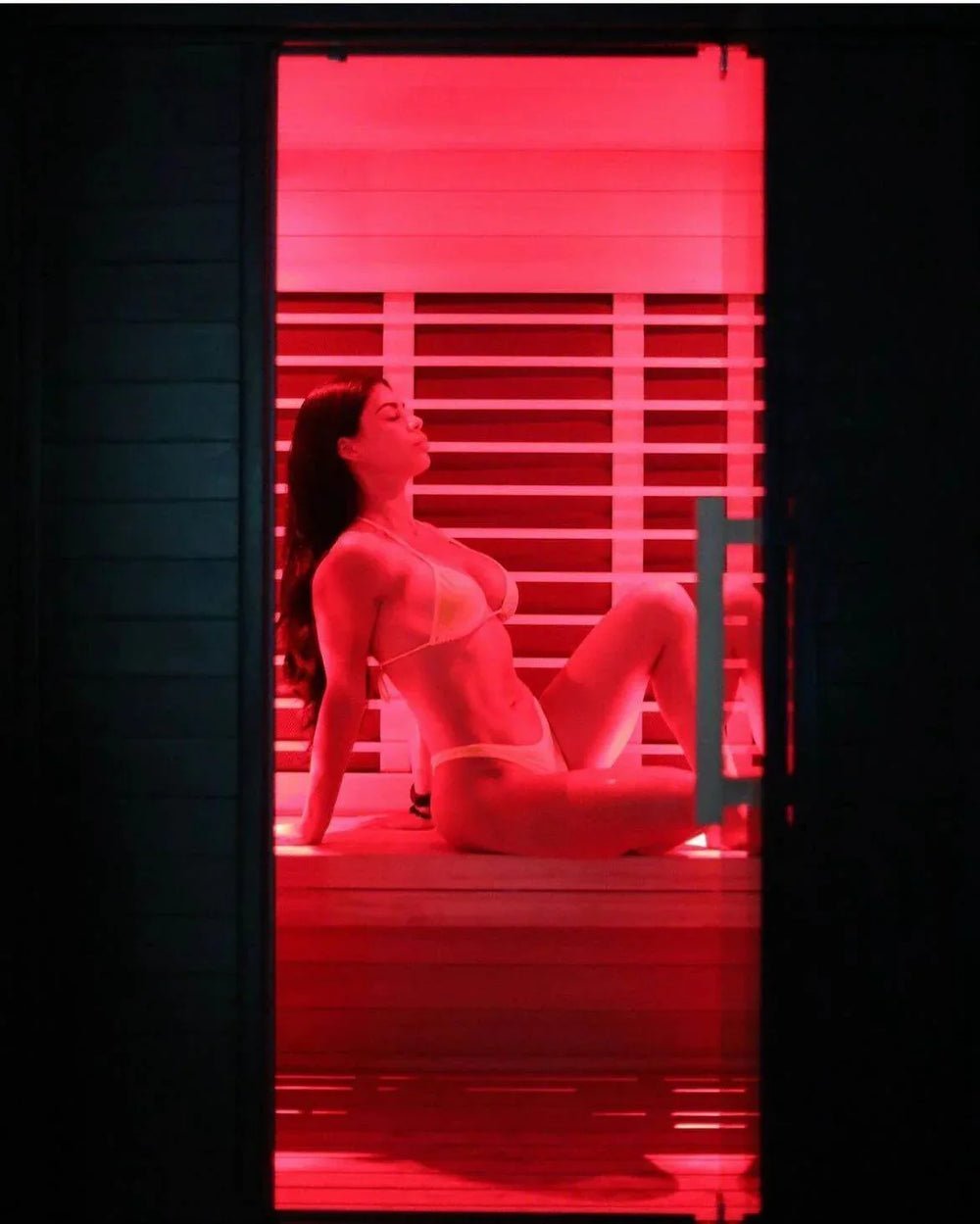 2026/08/Sun_Home_Equinox_with_advanced_infrared_technology.jpg